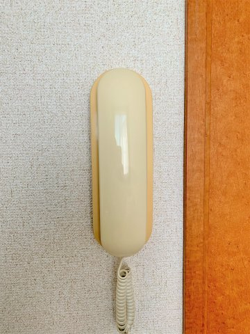 レオパレスプリーマのその他