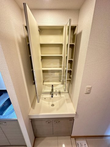 ルーブル大鳥居弐番館の洗面所