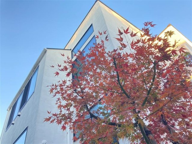 WATEI久我山の外観|外観もきれいです