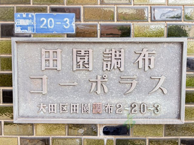 田園調布コーポラスの現況写真