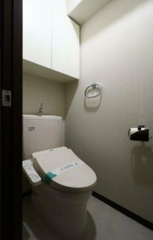 パルティール赤坂のトイレ|落ち着いた色調のトイレです