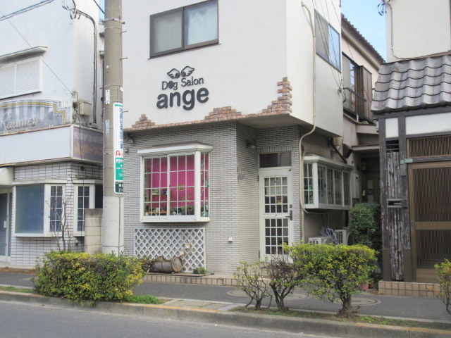シエンプレのその他|ドッグサロンange