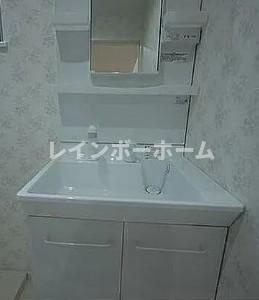 ウッドマンション和光ヴィレッジAの洗面所