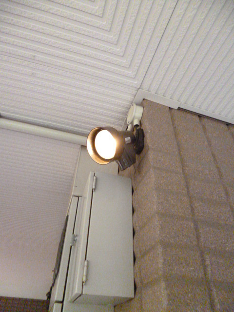 ＡＮ　ＯＷＬ中新井のセキュリティ|★防犯センサーライト★