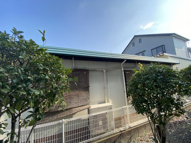 【展望】