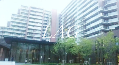 【外観】 | シティテラス東陽町 | 外観です。