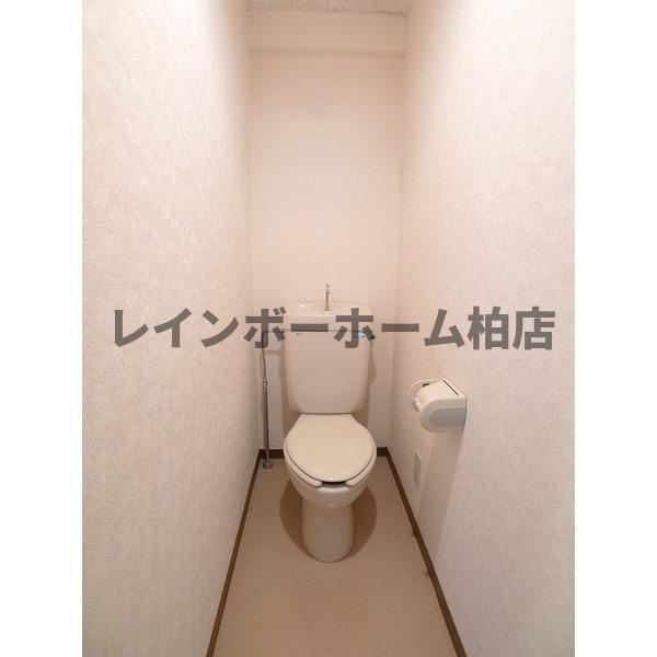 【仲介手数料：50％OFF】対象物件！のトイレ|トイレも気になるポイント