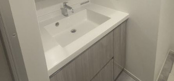 パークアクシス池袋イーストの洗面所
