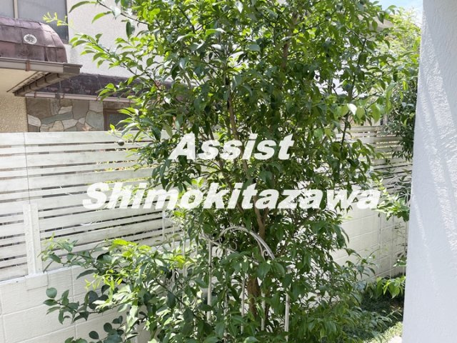 メゾンブランシュ下北沢の展望|参考写真