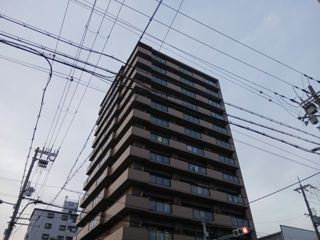 カルム平野の外観