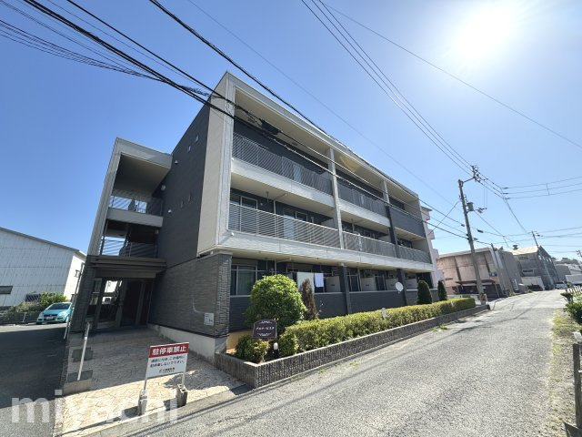 ブエナ・ビスタ