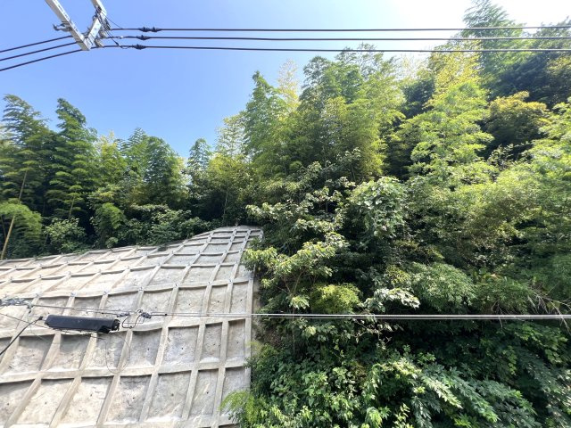 横浜なのに！？横浜だけど！？叶う自然を感じられ落ち着いた生活♪でも元町や中華街もしっかり生活圏で嬉しい♪な【中区本牧町2丁目新築戸建】の展望
