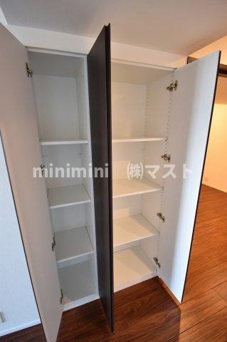 大阪市中央区南本町１丁目の賃貸マンションの収納