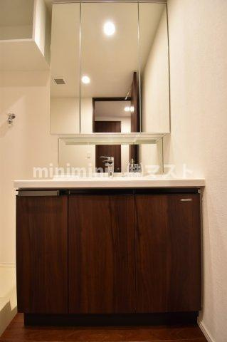 大阪市中央区南本町１丁目の賃貸マンションの洗面所