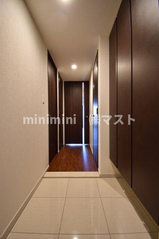 大阪市中央区南本町１丁目の賃貸マンションの玄関