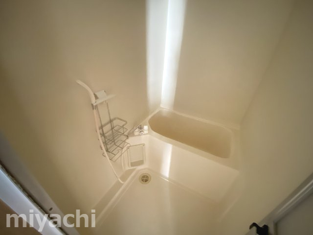 エクセレントメゾンアミューゼの浴室
