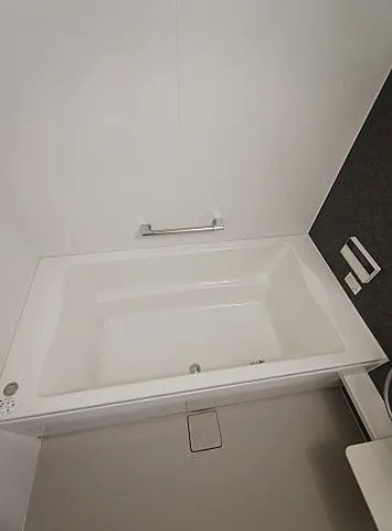 Ｄ－ｒｏｏｍ高羽の浴室