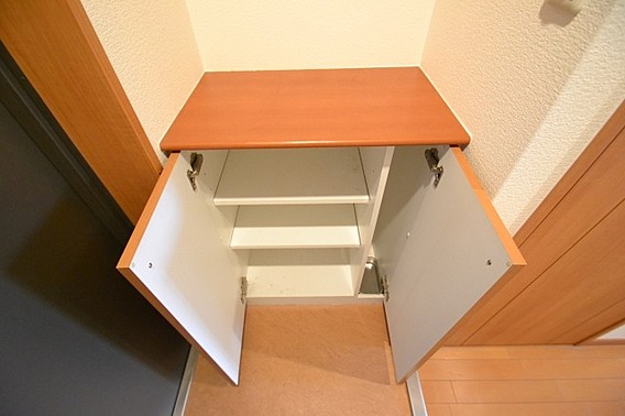 神戸市中央区下山手通７丁目の賃貸マンションの玄関