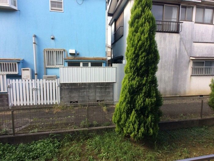 アゴラ藤湯の展望