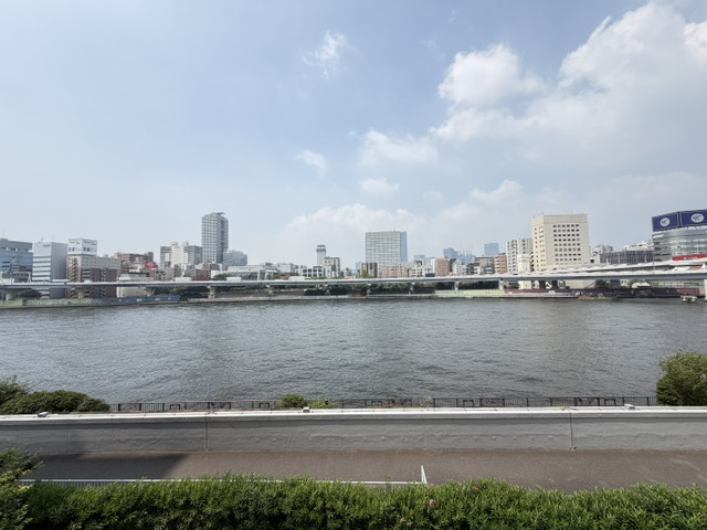 アクシルコート新大橋の展望