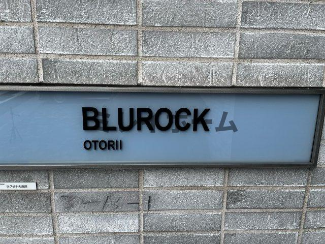 BluRock大鳥居のその他