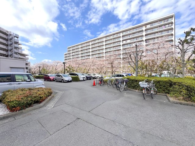 ルネ草加松原の駐車場|駐車場