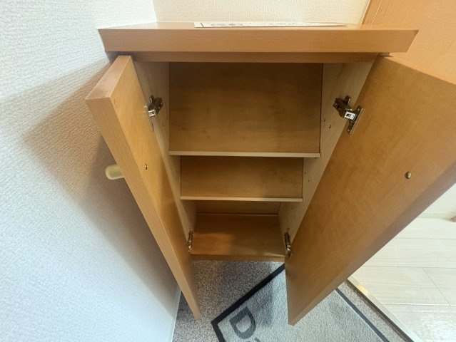ドミール関大前の収納