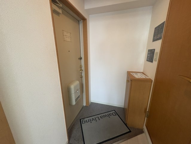 ドミール関大前の玄関
