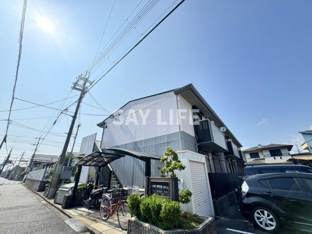 ワントゥリーヒル