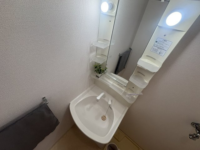ドミール関大前の独立洗面台