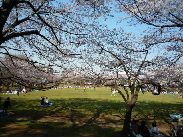 蕨市民公園まで900ｍ