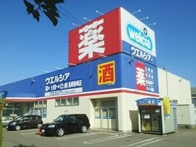ルーフ　ウェーブ笹崎Ａの周辺|ウエルシア長岡笹崎店まで140m