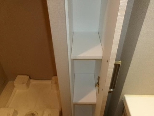 ライオンズ市川国府台レジデンスの洗面所|収納（洗面所）