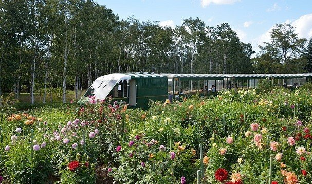 スールアスセーナの周辺|百合が原公園まで500m