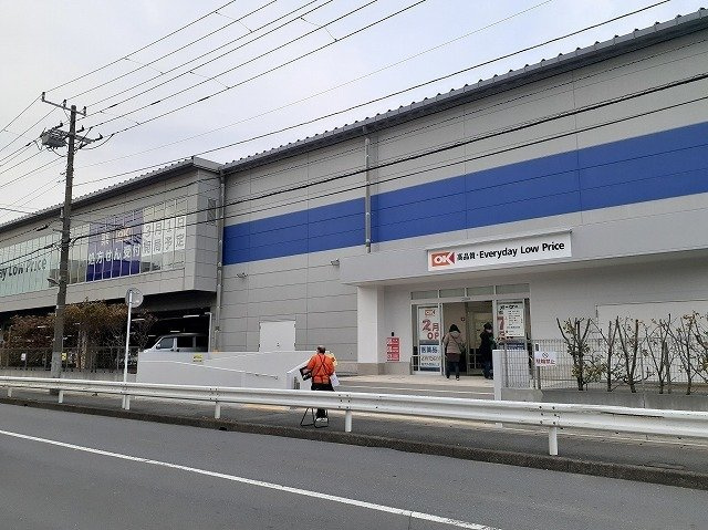 シェーネ　ベル・ウッドの周辺|ＯＫストア市川田尻店まで160m