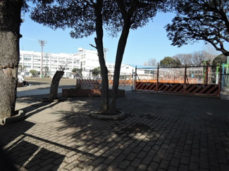 大和市立北大和小学校まで500ｍ