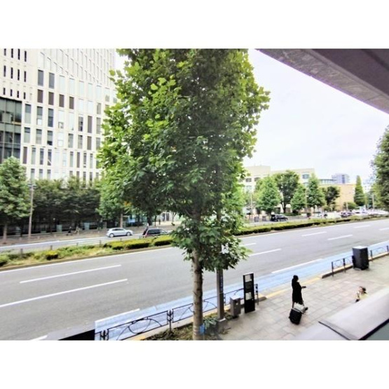 【展望】