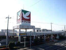 宇都宮市下岡本町　5ＳＬDＫ　中古住宅の周辺|ヨークベニマル御幸ヶ…まで869m