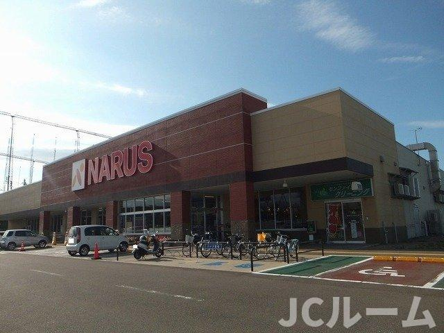 レゴリスＢの周辺|ナルス上越インター店まで1200m