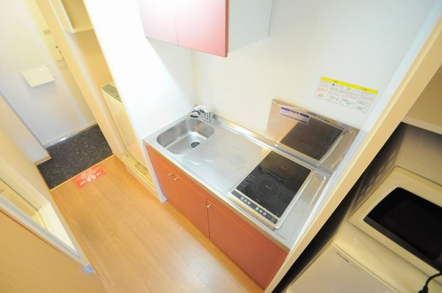レオパレスカサデルソルⅢのその他