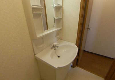 泉北郡忠岡町北出２丁目のハイツの洗面所|スペースが確保できる洗面所です