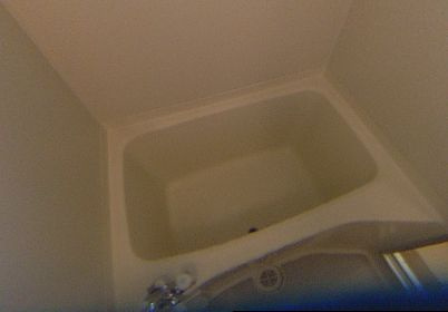 泉北郡忠岡町北出２丁目のハイツの浴室|日々の疲れを癒すお風呂付です