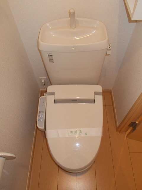イーリスニシオオジマのトイレ