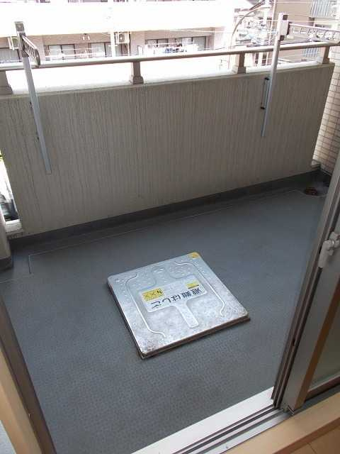 イーリスニシオオジマのバルコニー