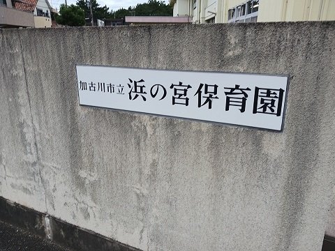 プリムローズの周辺|浜の宮保育園まで130m
