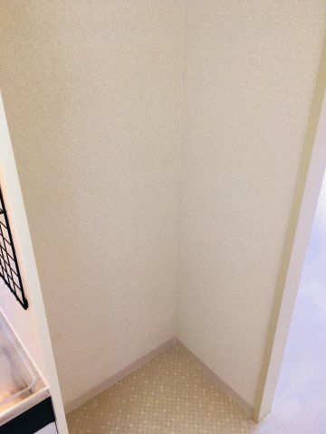 レジナのその他