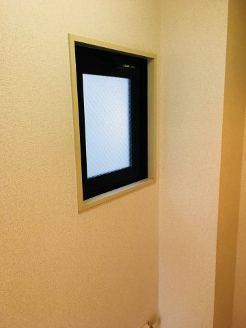 レジナのその他