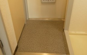 大和市上草柳３丁目の賃貸マンションの玄関