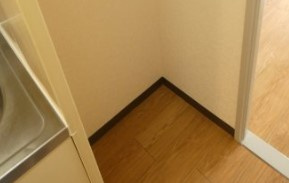 大和市上草柳３丁目の賃貸マンションの内装