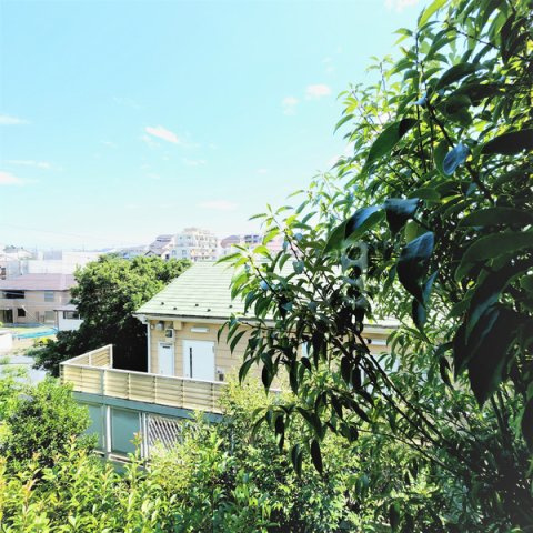 K.M.H.COURTTERRACEの展望
